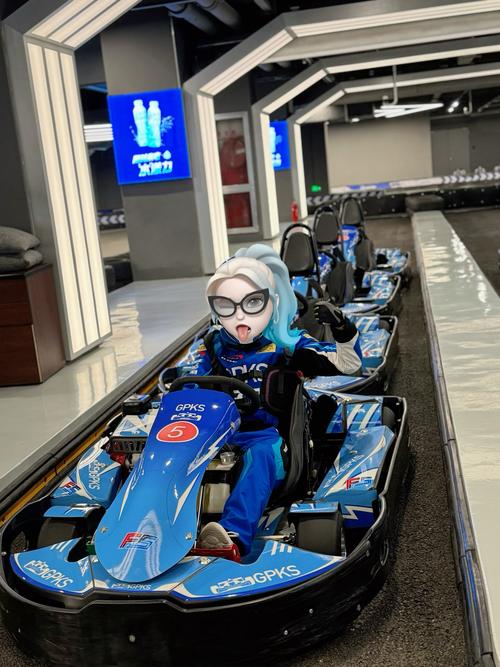 想体验速度与激情?来玩极速哈士奇吧!