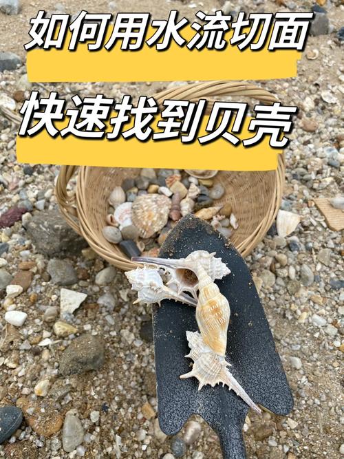 炫舞贝壳在哪里？各个地图贝壳收集点详解