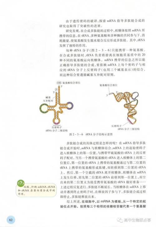 红警2索取资源技巧详解：快速致富的秘诀