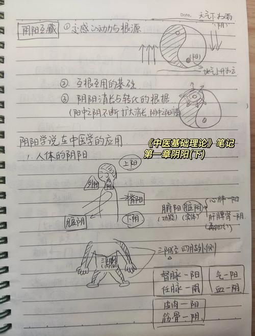 阴阳术是什么?简单易懂的阴阳术知识科普讲解