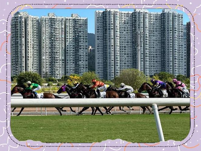 超级赛马游戏攻略：轻松上手，快速进阶赛马高手！