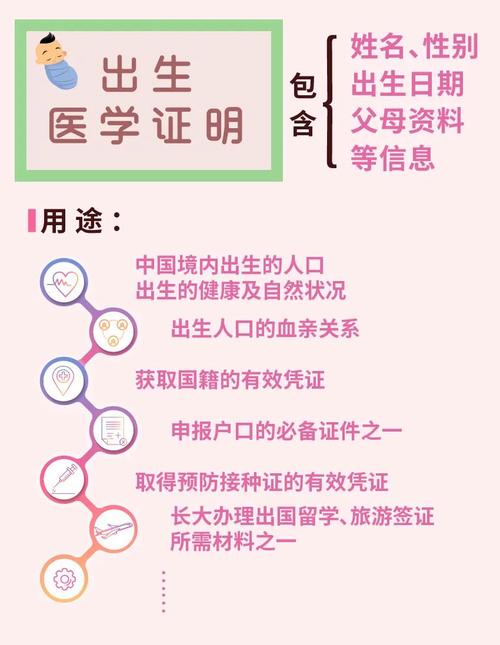 如何下载出生证明?官方下载地址及注意事项