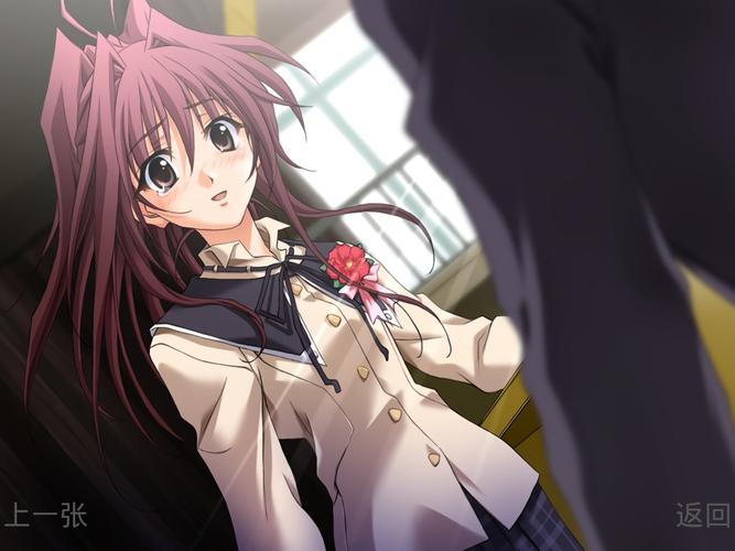 秋之回忆4游戏攻略：轻松玩转所有剧情路线