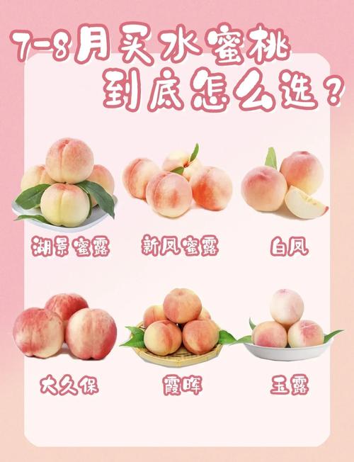 桃园生活技能大全：11种技能学习及收益详解