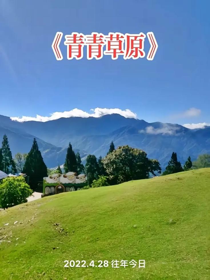 快速下载青青草原，完整步骤轻松学会！