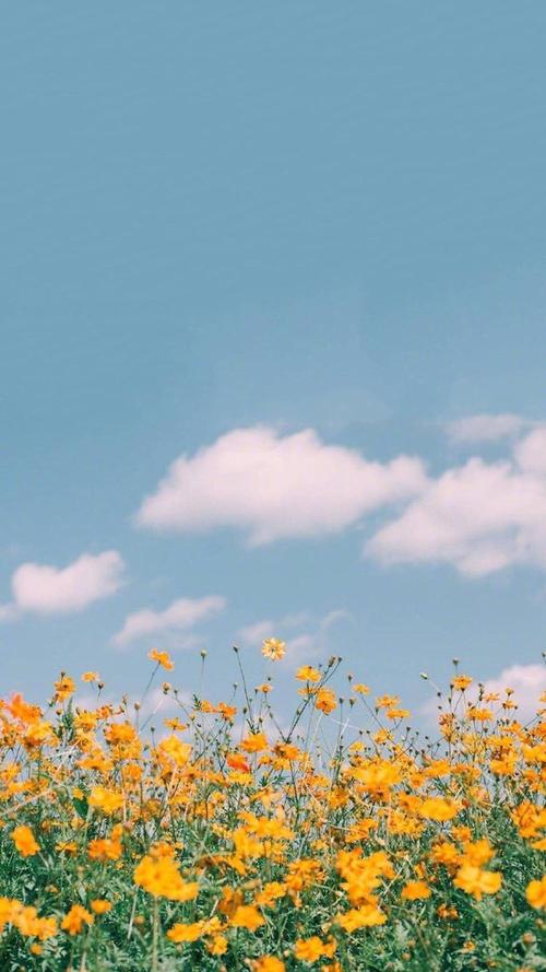 烂漫高清资源下载地址分享，快速下载无压力