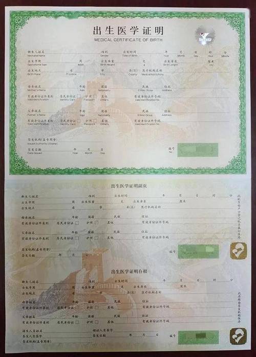 如何下载出生证明?官方下载地址及注意事项