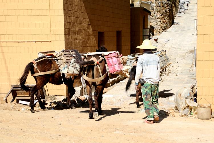 如何下载废村少女?解决下载难题的实用指南