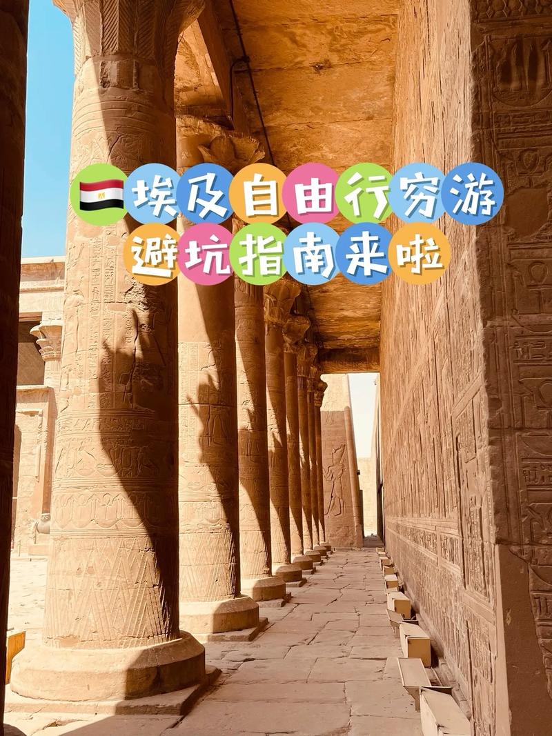 威利大冒险续集版本大全：避坑指南及下载地址