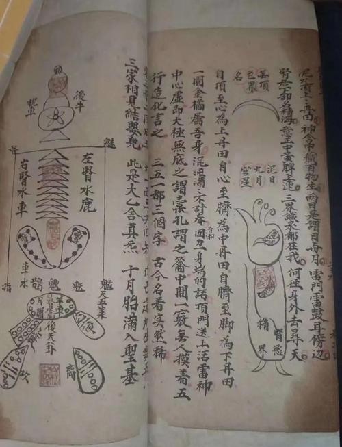 完整理合合欢宗双修版本：从入门到精通