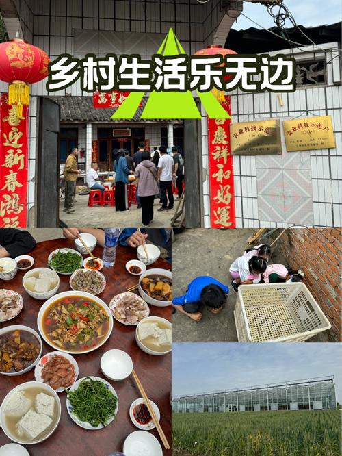 乡下生活最新玩法：体验农家乐，感受慢生活魅力