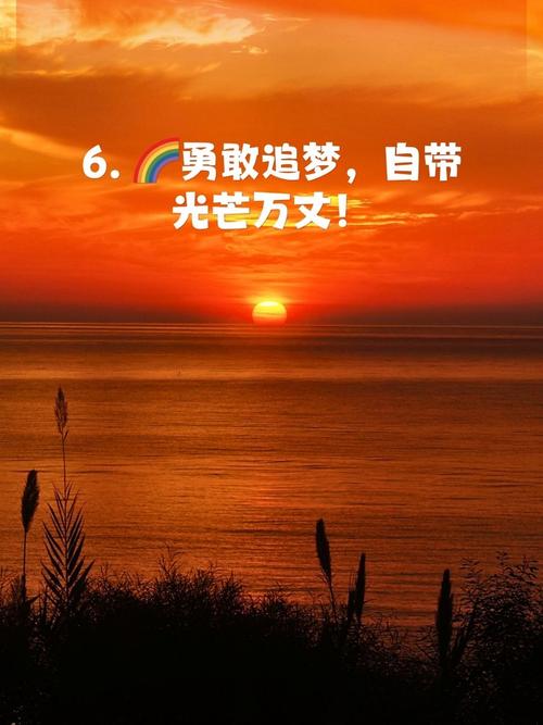 热辣可爱:梦想版本大全,追梦路上笑泪交加