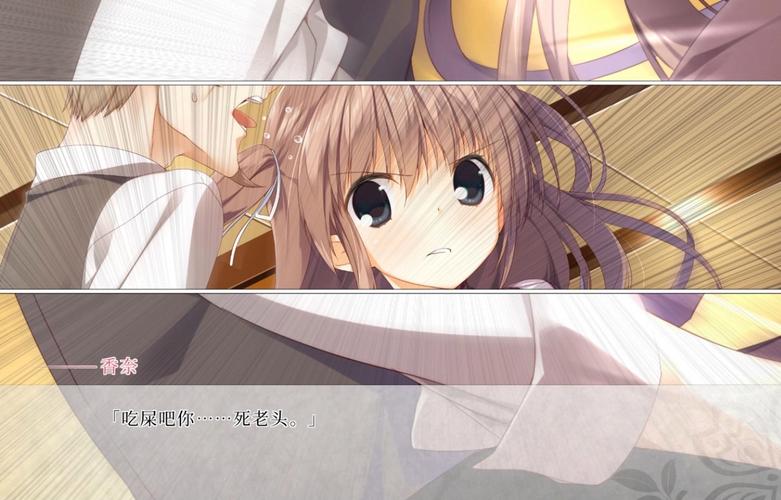 樱之刻汉化版下载：安卓直装免谷歌轻松玩