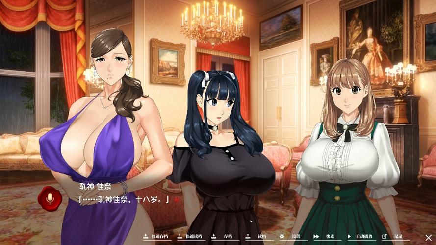 淑女游戏6部完整版下载，高清汉化资源推荐