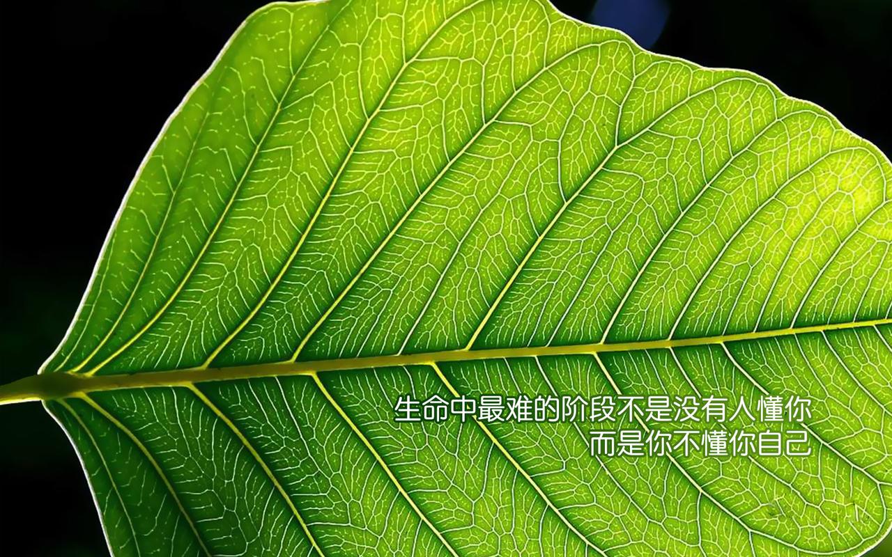 心灵结社在哪下载?最简便的下载方法