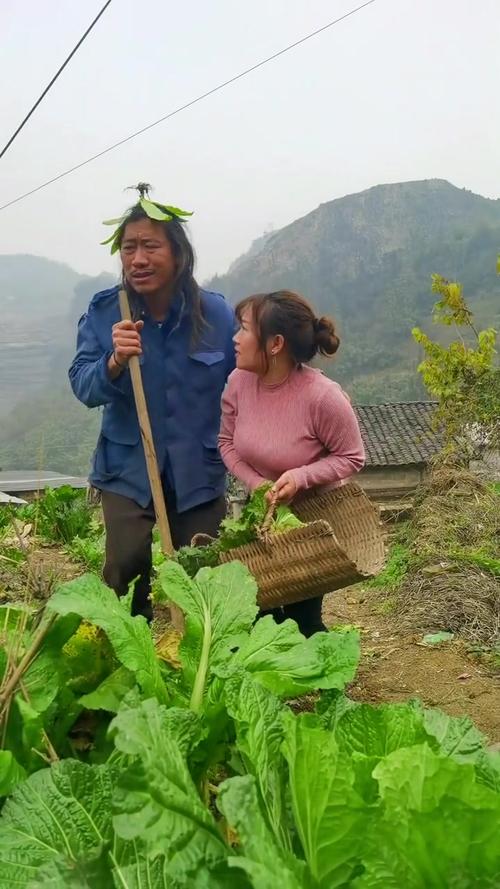 我的乡村生活最新版本特色玩法：不一样的乡村体验