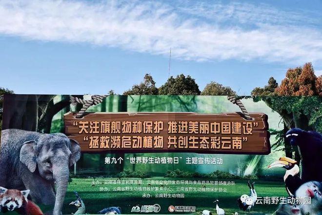 云中古城最新消息:古城保护再升级,野生动物有了新家园