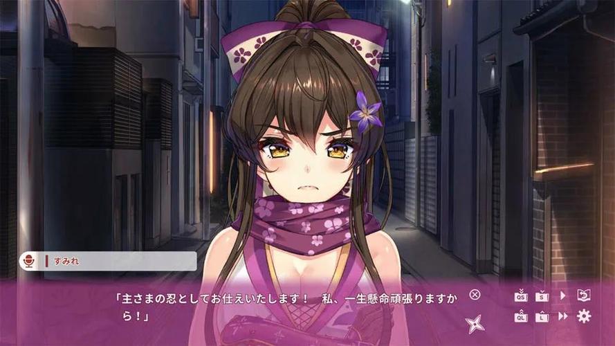 绅士游戏技巧分享:快速失去童贞的终极指南!