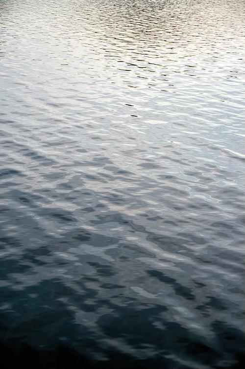 涟漪歌曲下载：免费下载涟漪歌曲的途径有哪些？