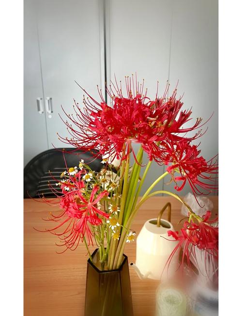 手把手教你下载彼岸花，解决下载难题的终极指南