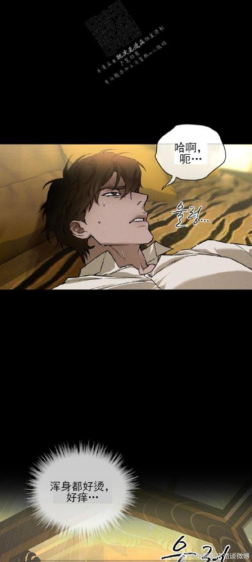 解密祖父遗产：秘密组织安卓汉化版震撼来袭！