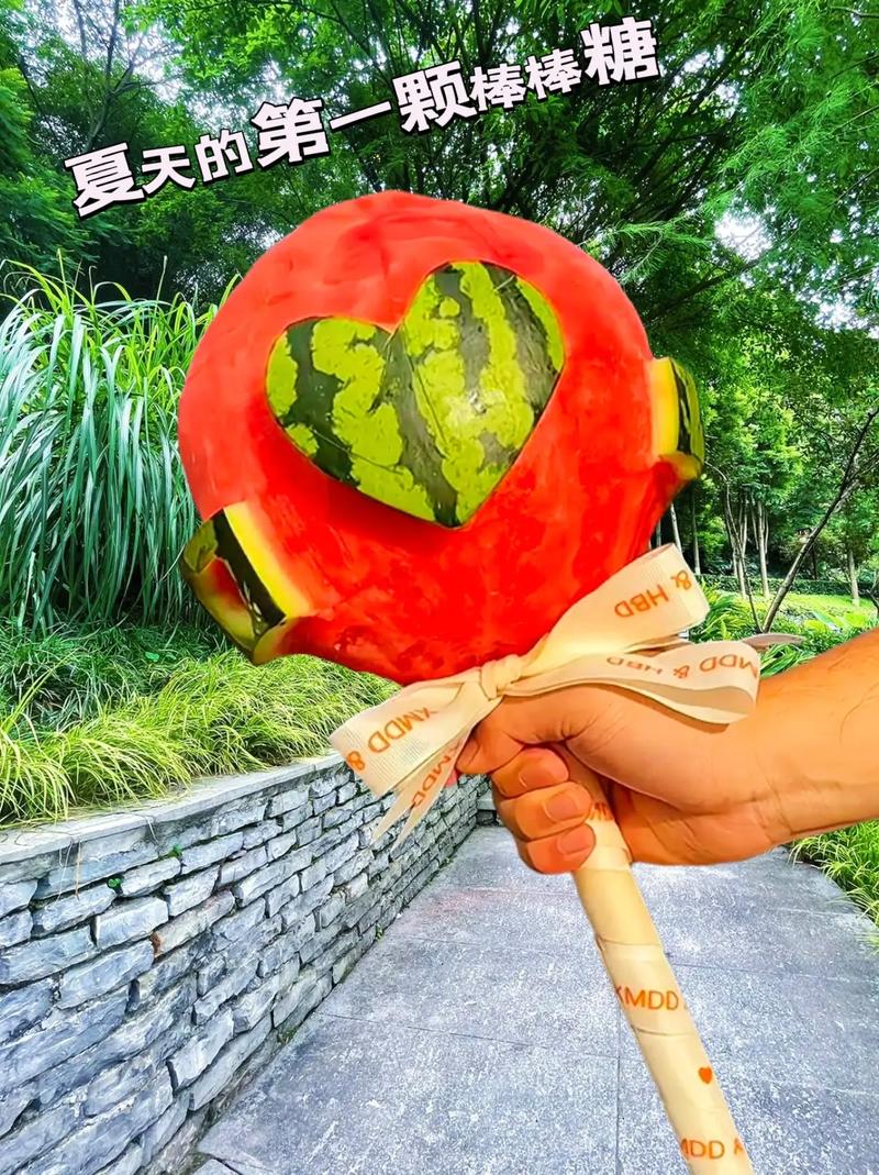 棒棒糖夏天最新版本更新地址,超详细下载步骤!