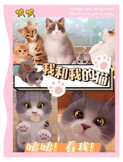当你的猫咪安卓版攻略：新手玩家必看游戏技巧