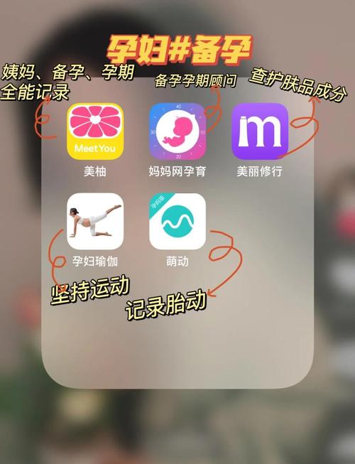 如何下载怀孕无双最新版本?版本号及下载途径