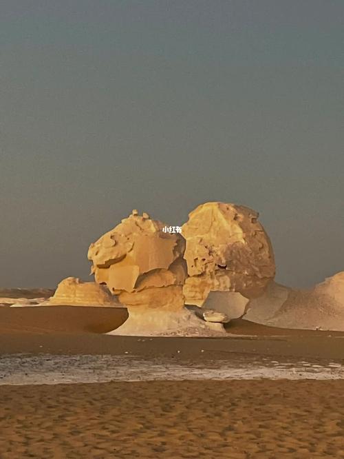 解锁沙漠潜行者V0.17隐藏剧情：通关秘籍分享