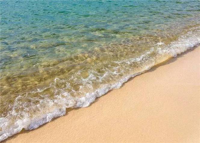 夏日风情游戏官网：视觉盛宴，浪漫邂逅