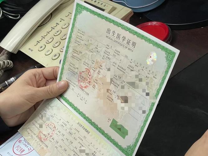 玩转出生证明游戏：深度体验，解锁所有秘密！