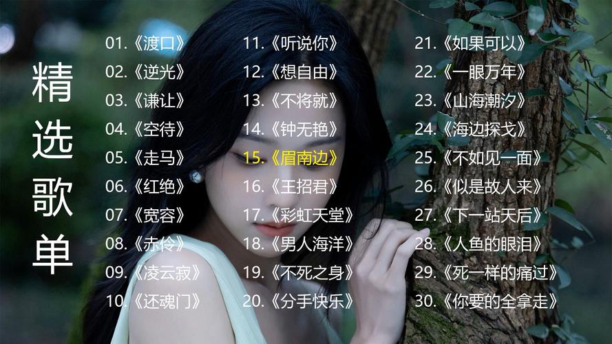 解密SOA亲妈姨妈歌手版:完整版本资源推荐