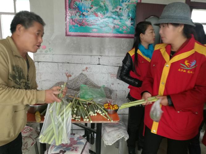 志愿少女游戏官网：探索志愿服务新玩法，成就你的游戏梦想