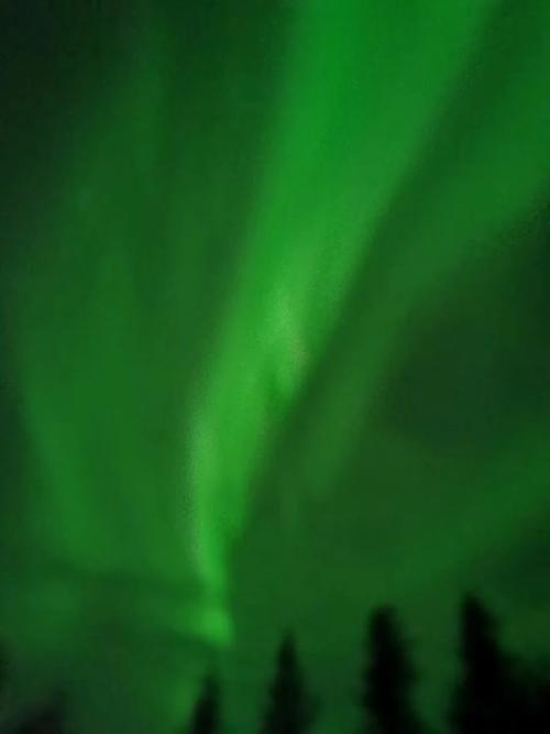 北极光汉化版最新更新内容详解，不容错过！