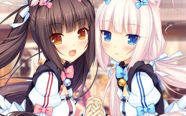 急速下载猫娘汉化版：体验纯正日系游戏魅力