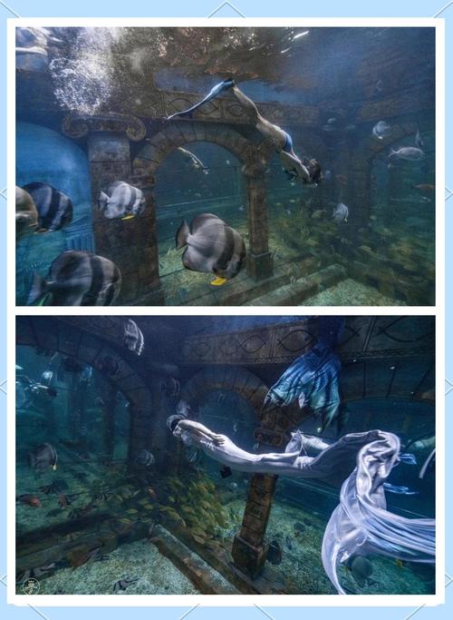 美人鱼之迷官方网站：揭秘神秘海底世界