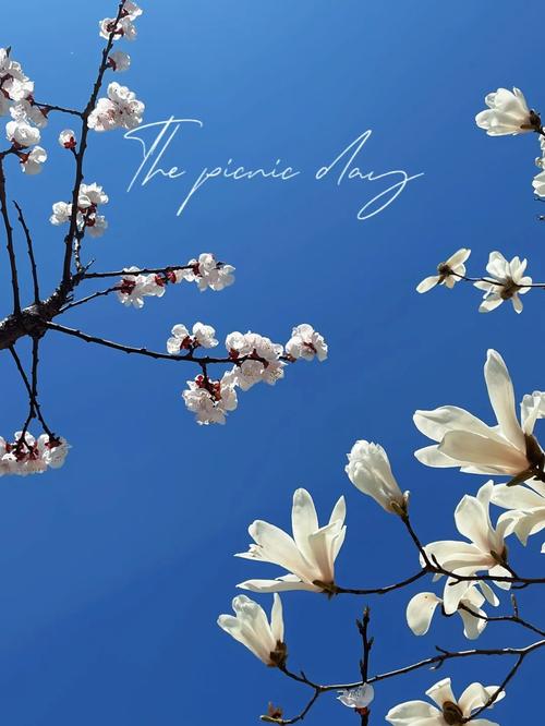 欲望开花下载地址分享：分享最新最全的欲望开花下载资源