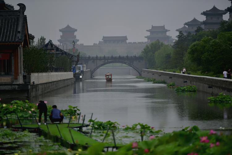 云中古城最新消息:古城保护再升级,野生动物有了新家园