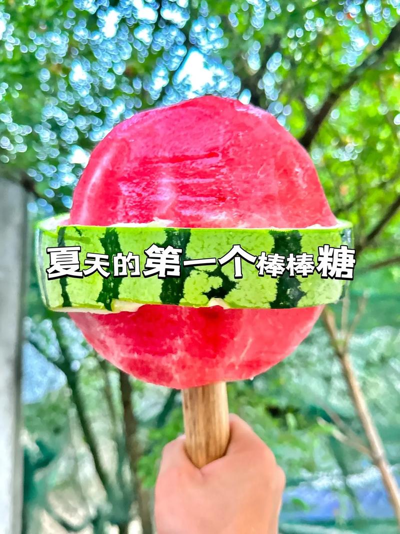 棒棒糖夏天最新版本更新地址,超详细下载步骤!