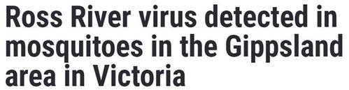 罗斯的生存下载地址:避免下载到病毒或恶意软件