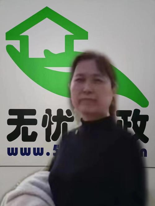 新保姆汉化版下载地址:快速下载,畅玩游戏无忧