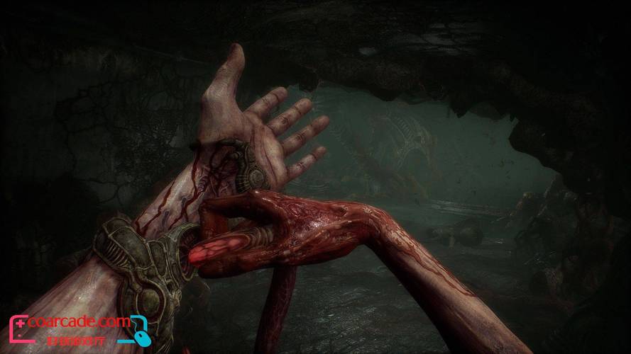 夜袭村禁忌实录安卓下载：恐怖游戏爱好者必备资源