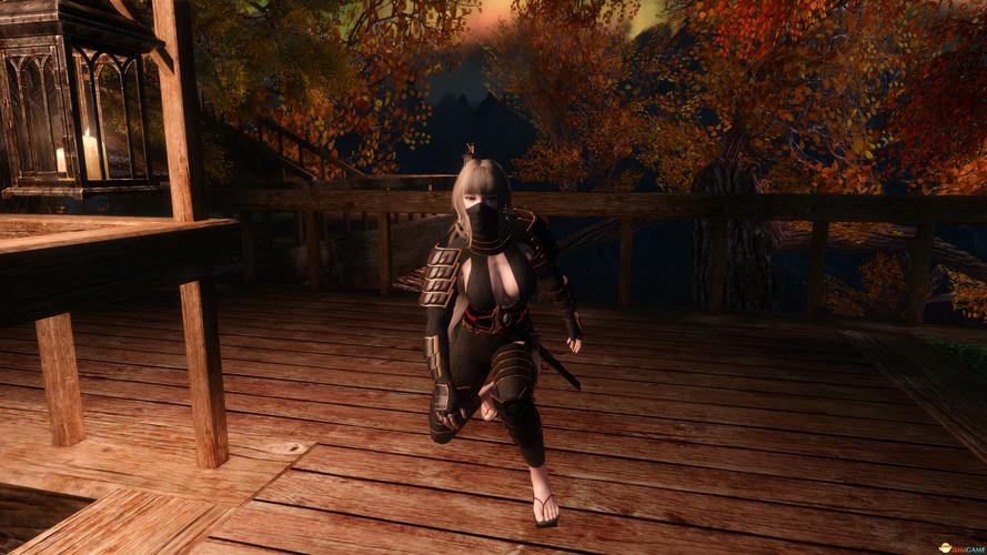 急寻女忍调教最后的战争下载地址，哪里可以找到？