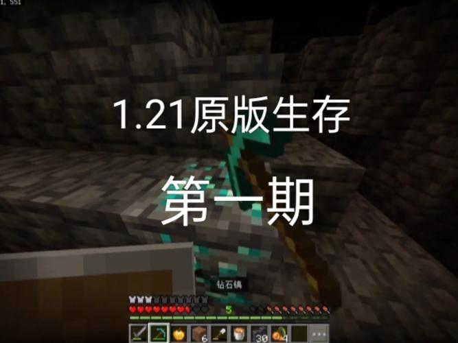 困难时期游戏下载：开启你的艰难生存之旅