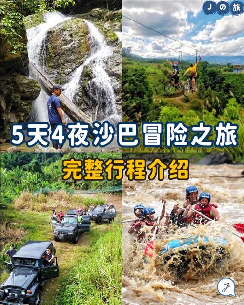 安卓版横刀夺爱的勇者下载：体验刺激的冒险之旅