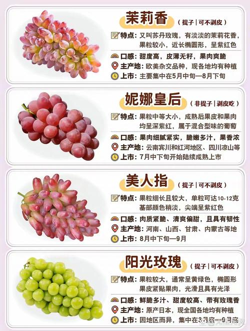 升级葡萄成熟时到最新版本,享受更多精彩功能!版本号是多少?