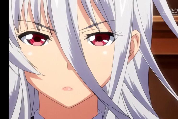 圣布伦希尔特学园少女骑士团：纯白胖次安卓汉化版下载