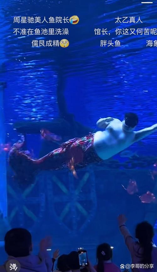 美人鱼之迷官方网站：揭秘神秘海底世界