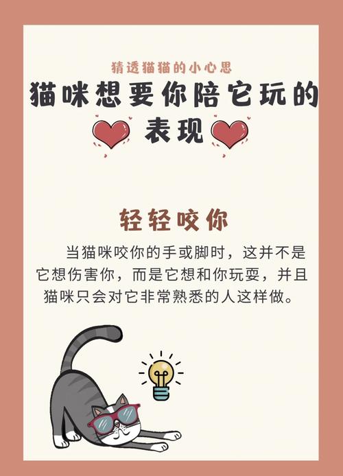 想玩当你的猫咪?这里提供下载地址及平台选择!