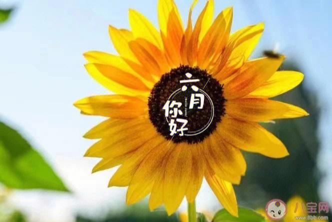 想玩你与我的六月？这里提供各个平台的下载地址